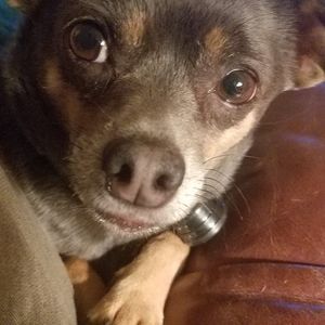 Meet your Posher, Bc